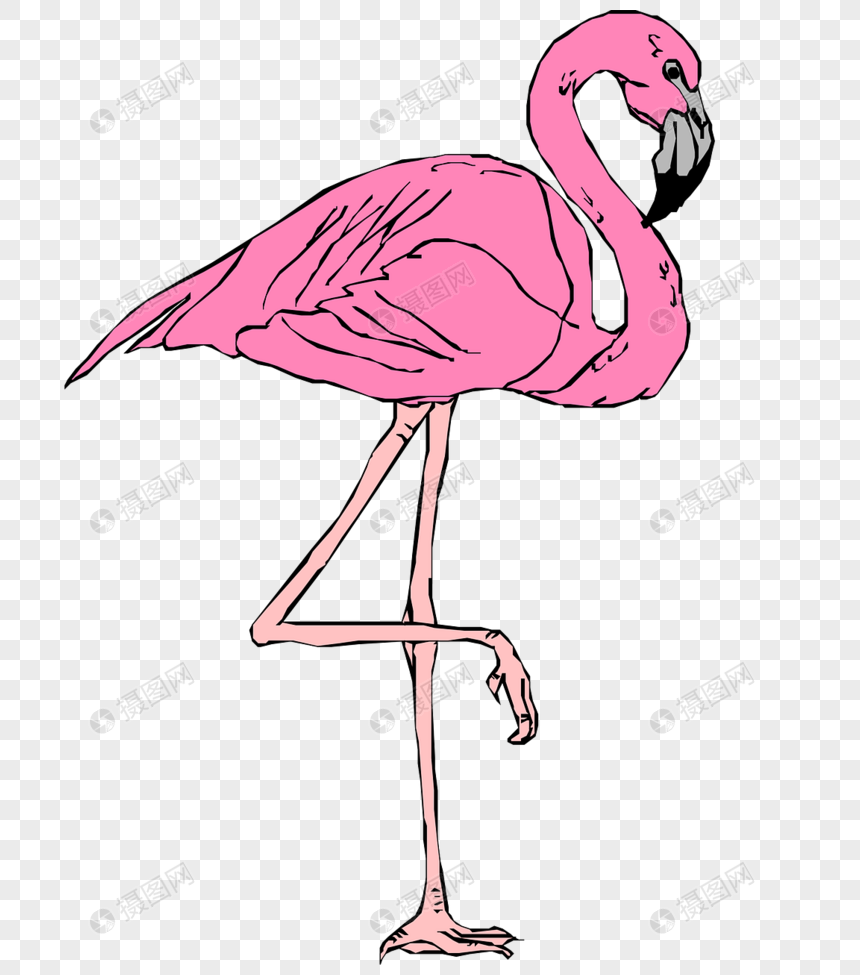 Paling Keren 18 Gambar Hewan Flamingo Kartun Gani Gambar