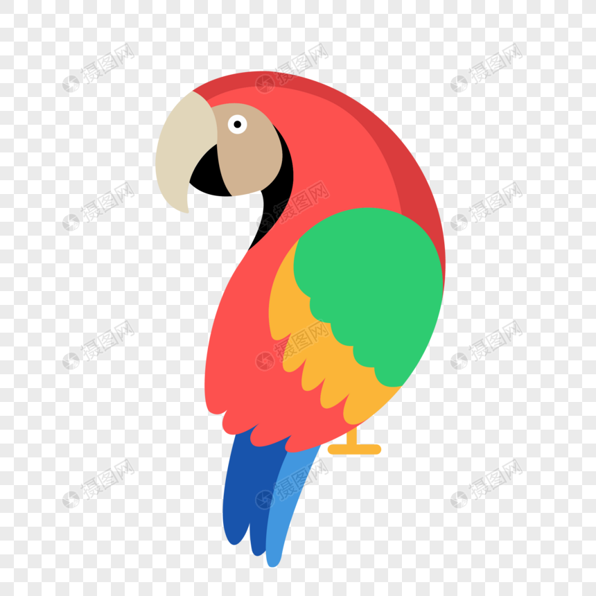 88 Gambar Burung Kakak Tua Kartun Terbaik Gambar Pixabay