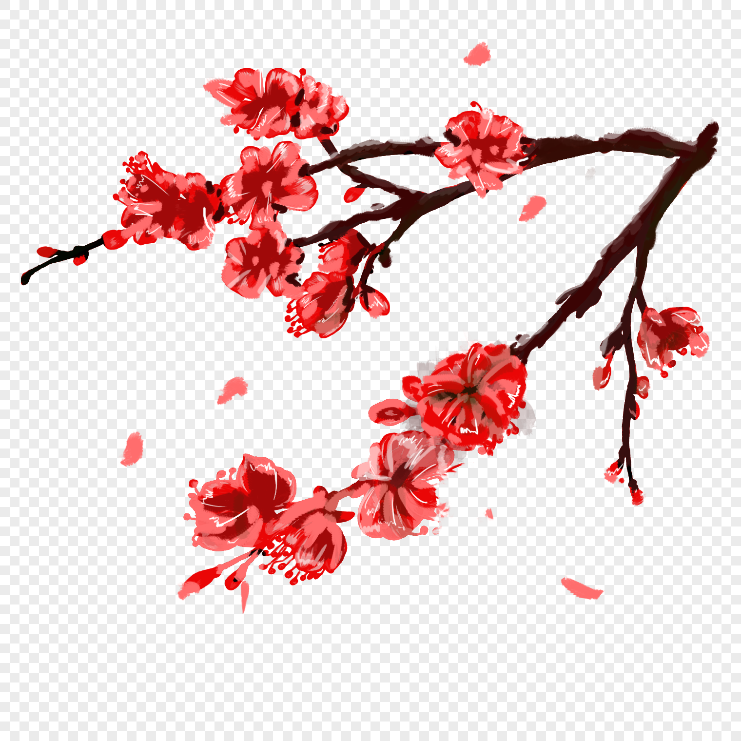 手绘树枝上的梅花图片素材免费下载 - 觅知网