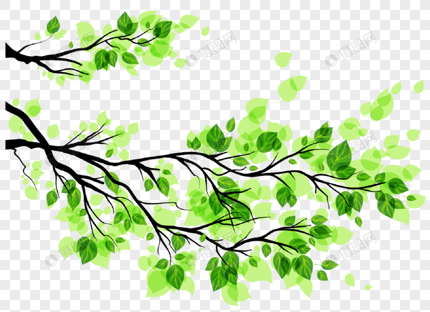 Ilustracion De Arbol Verde Y Hojas Ilustracion De Vectores Y Mas Images 9407