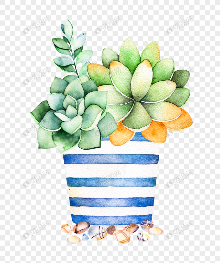 Watercolor  hand painted potted cactus  succulent  plant png 