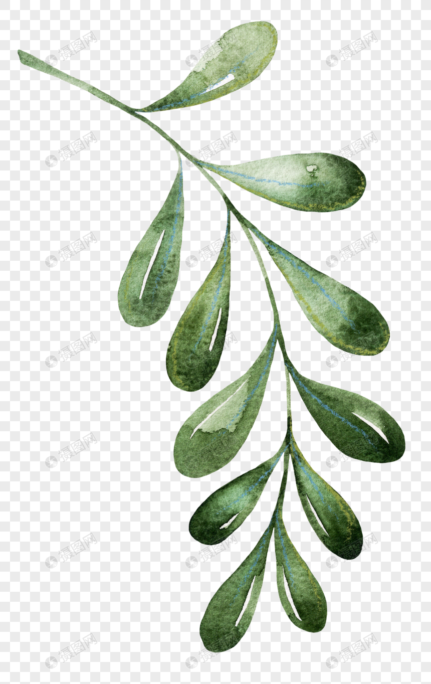 Watercolor plant leaves png image_picture free download 400810488 ...