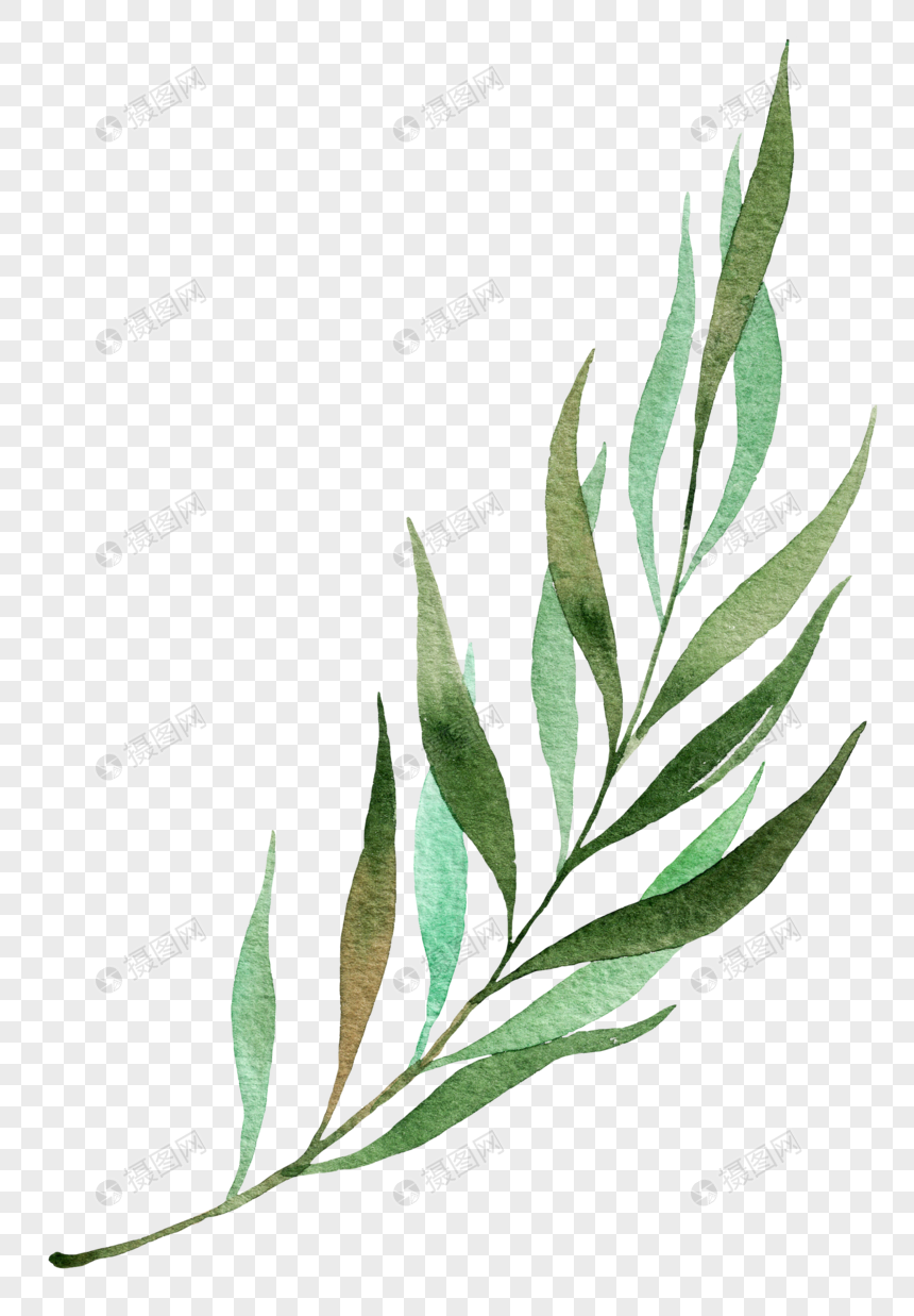 Watercolor plant leaves png image_picture free download 400810513 ...