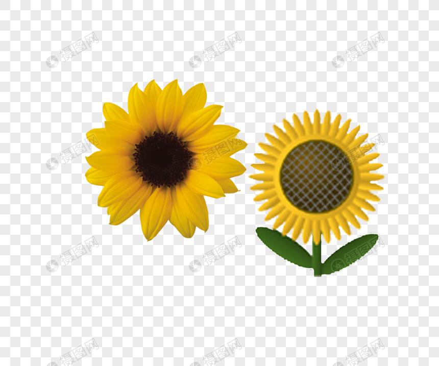 tangan kartun ditarik bunga matahari yang cantik gambar ...