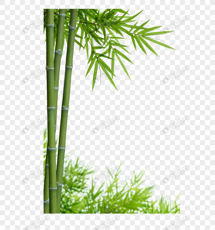  Bamboo  png  image picture free download 400874067 lovepik com