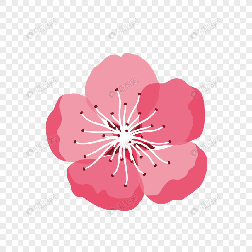 Plum Blossom PNG Transparent Image And Clipart Image For Free Download ...