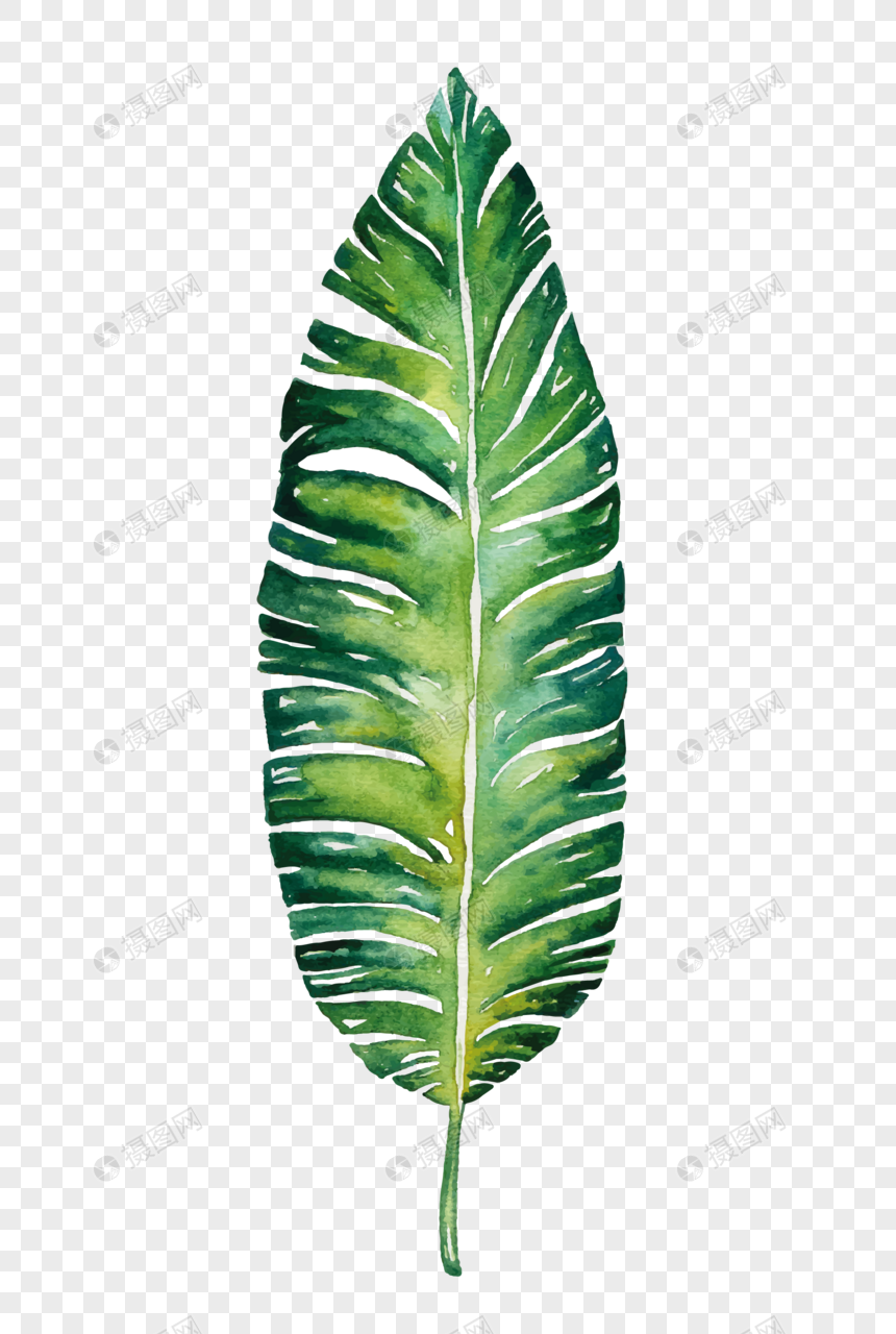 20 Ide Gambar Daun Pisang  Png Jonas Mueller