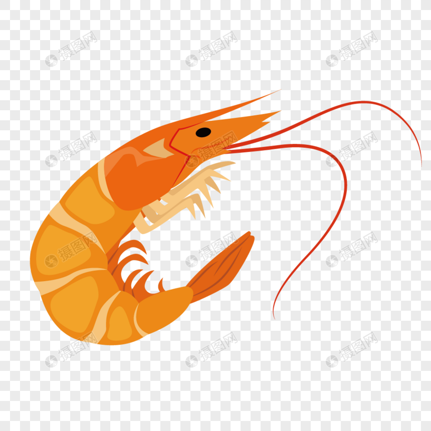 Gambar Udang Png Koleksi Gambar HD