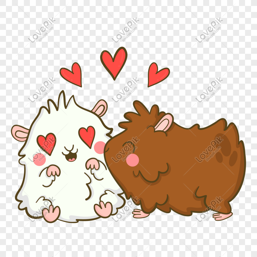 photo de hamster mignon aime les bisous numero de l image400945706 format d image ai fr lovepik com photo de hamster mignon aime les