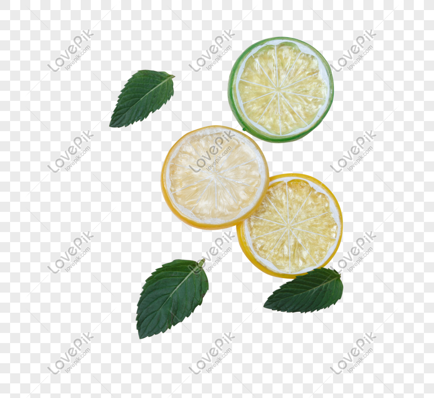 lemon slice png image picture free download 400968393 lovepik com lovepik