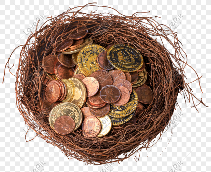 nest coin