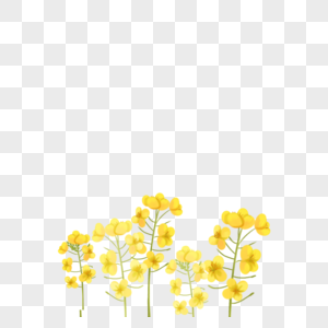 Download Yellow Flower Png Image Picture Free Download 400315952 Lovepik Com PSD Mockup Templates