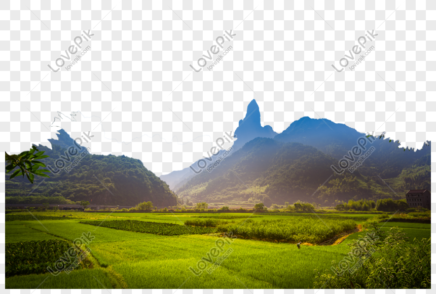 Hình ảnh Cánh đồng Núi PNG Miễn Phí Tải Về - Lovepik