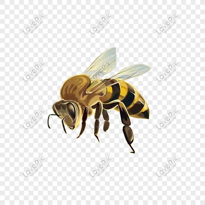 Bạn có muốn khám phá vẻ đẹp hoang sơ của con ong trong bức ảnh này không? Hãy tìm hiểu về cuộc sống bận rộn của chúng ta, với những hình ảnh tuyệt đẹp về sự hoạt động của chúng trong tự nhiên.