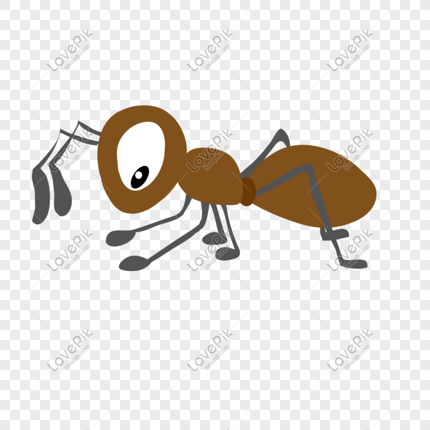 40 Koleski Terbaik Gambar Kartun Binatang Semut  Dan  Lain 