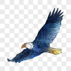 Eagle PNG Images With Transparent Background | Free Download On Lovepik