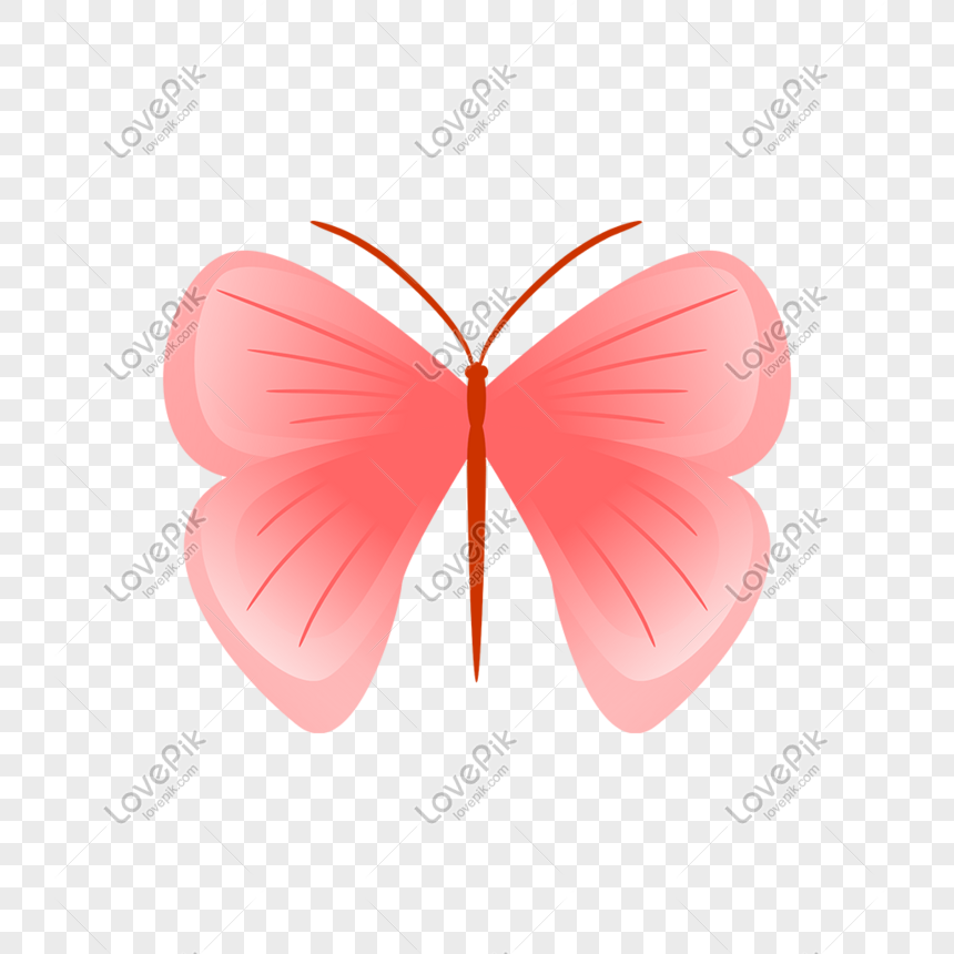 Bướm hồng là biểu tượng của sự nhẹ nhàng và tình yêu. Và chúng tôi có những hình ảnh bướm hồng đẹp nhất để bạn thưởng thức. Hãy để chúng tôi mang đến cho bạn một trải nghiệm tuyệt vời.