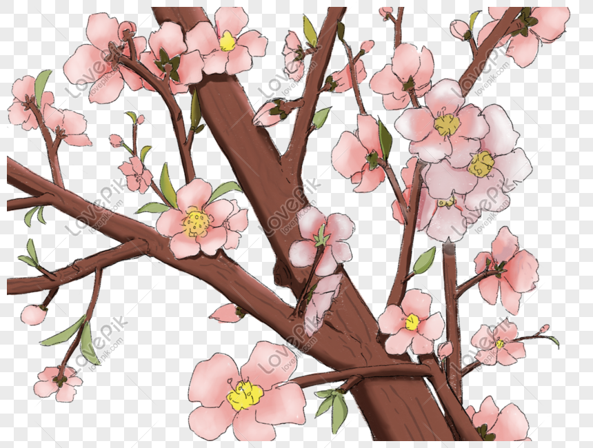 Aesthetic Hand Painted Cherry Design PNG White Transparent And Clipart  Image For Free Download - Lovepik | 401026072