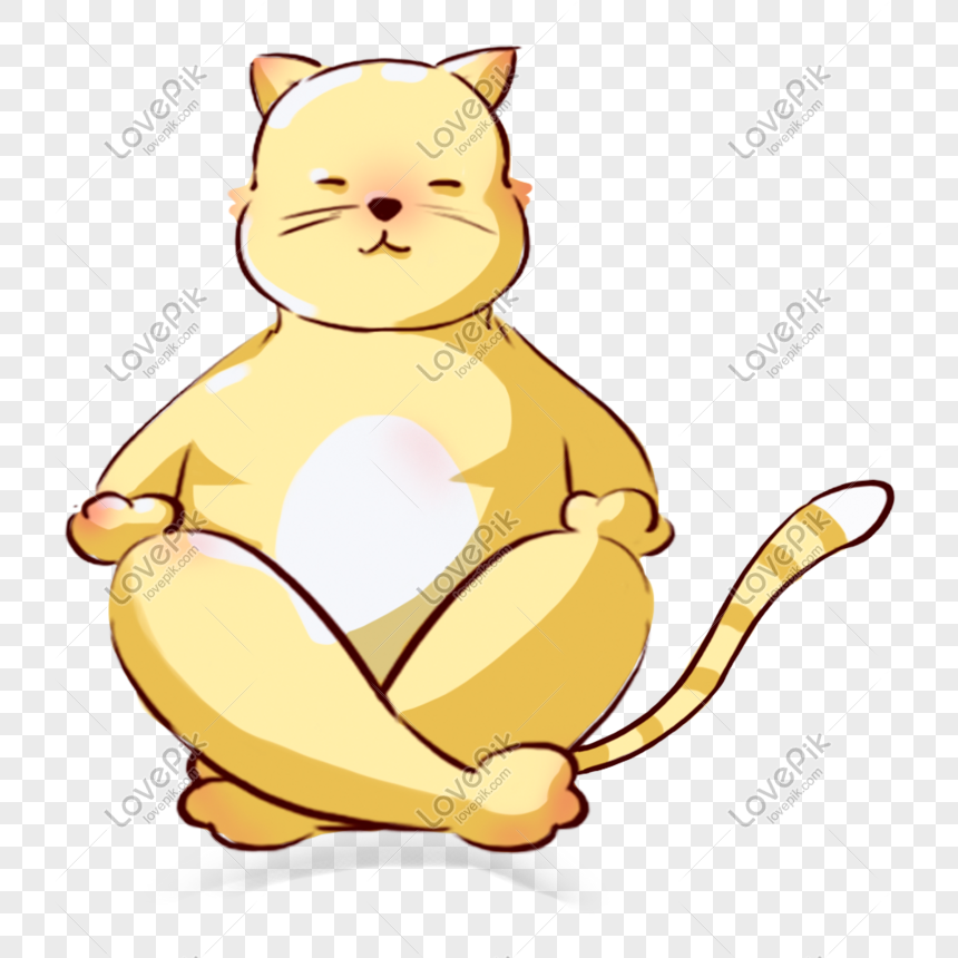Yoga Cat PNG Image u0026 PSD File Free Download - Lovepik  401031683