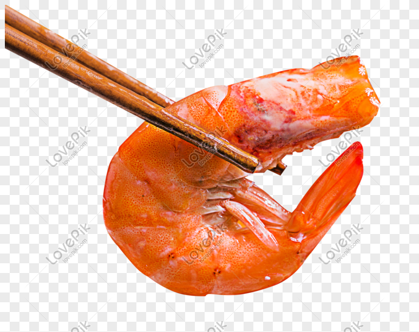 prawns png image picture free download 401036693 lovepik com lovepik