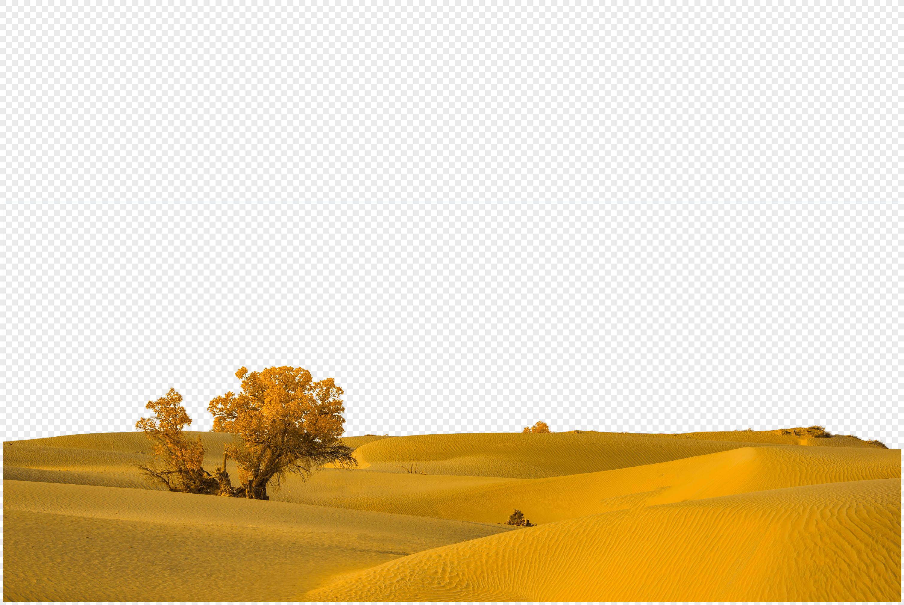 дерево в пустыне изображение, дерево в пустыне фото_Фоновое  изображение_ru.lovepik.com Бесплатная картинка