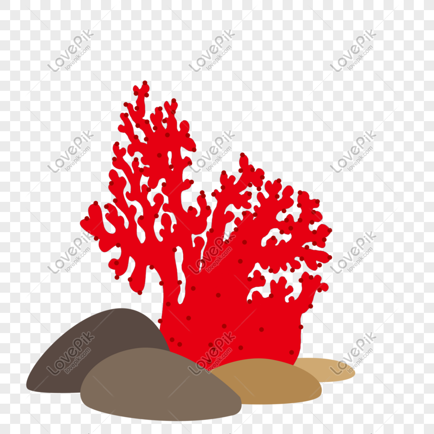 coral png image picture free download 401044784 lovepik com lovepik