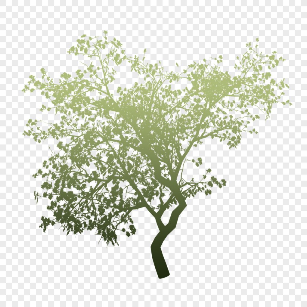 tree silhouette, tree, silhouette, plant png image