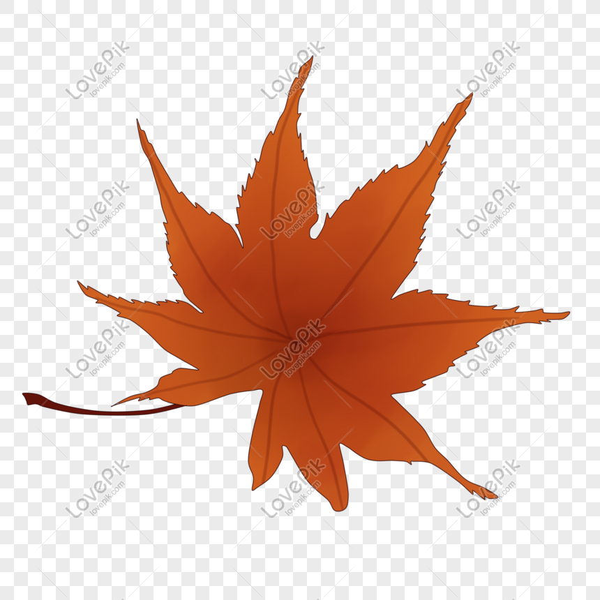 Maple Leaves Png Image Picture Free Download Lovepik Com