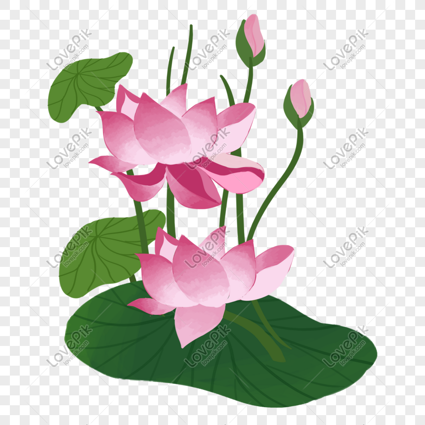 Bạn đang tìm kiếm hình ảnh hoa sen PNG miễn phí để sử dụng trong các thiết kế của mình? Đừng bỏ lỡ cơ hội chiêm ngưỡng những hình ảnh hoa sen đẹp và tinh xảo. Chúng tôi có những bức ảnh và biểu tượng hoa sen rực rỡ mà bạn sẽ không thể khỏi bị ấn tượng.