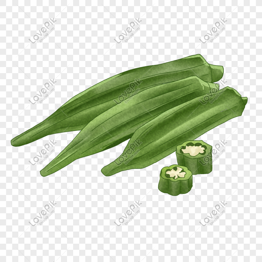okra png image picture free download 401065556 lovepik com