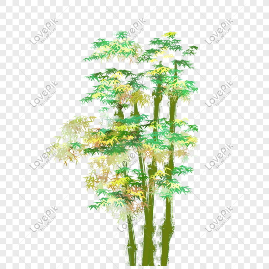 Pohon Bambu Gambar Unduh Gratis Grafik 401066557 Format