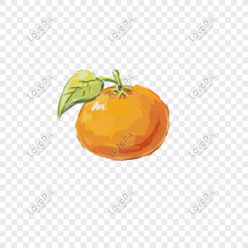 Vẽ tay màu nước quả cam Nếu bạn đang tìm kiếm một hoạt động giải trí thú vị, hãy tham khảo các ảnh vẽ tay màu nước quả cam. Những chiếc bút vẽ nước mềm mại sẽ giúp bạn tạo ra các sắc thái màu sắc khác nhau trên giấy trắng. Bạn sẽ tìm thấy niềm vui khi tạo ra một tác phẩm của riêng mình.