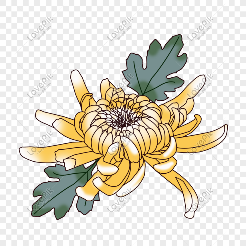 Flower PNG Transparent Image And Clipart Image For Free Download ...