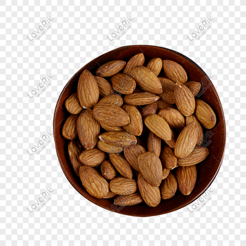 dry fruits png image picture free download 401084467 lovepik com dry fruits png image picture free