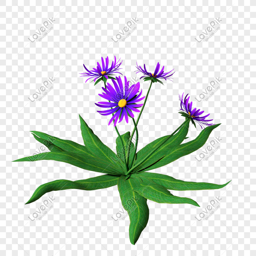 Purple Flowered Large Leaved Plants Png Image Picture Free Download Lovepik Com
