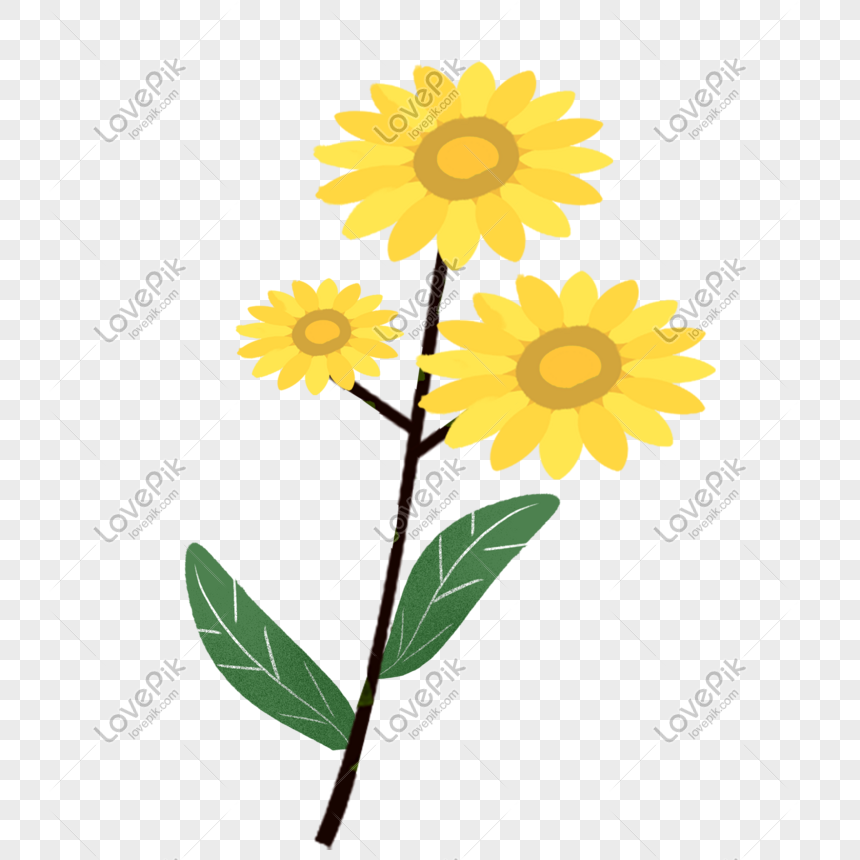 Tanaman Hias Kreatif Bunga Matahari Png Grafik Gambar Unduh Gratis Lovepik