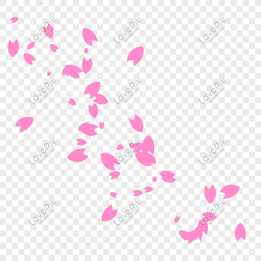 Falling Cherry Petals PNG Picture And Clipart Image For Free ...