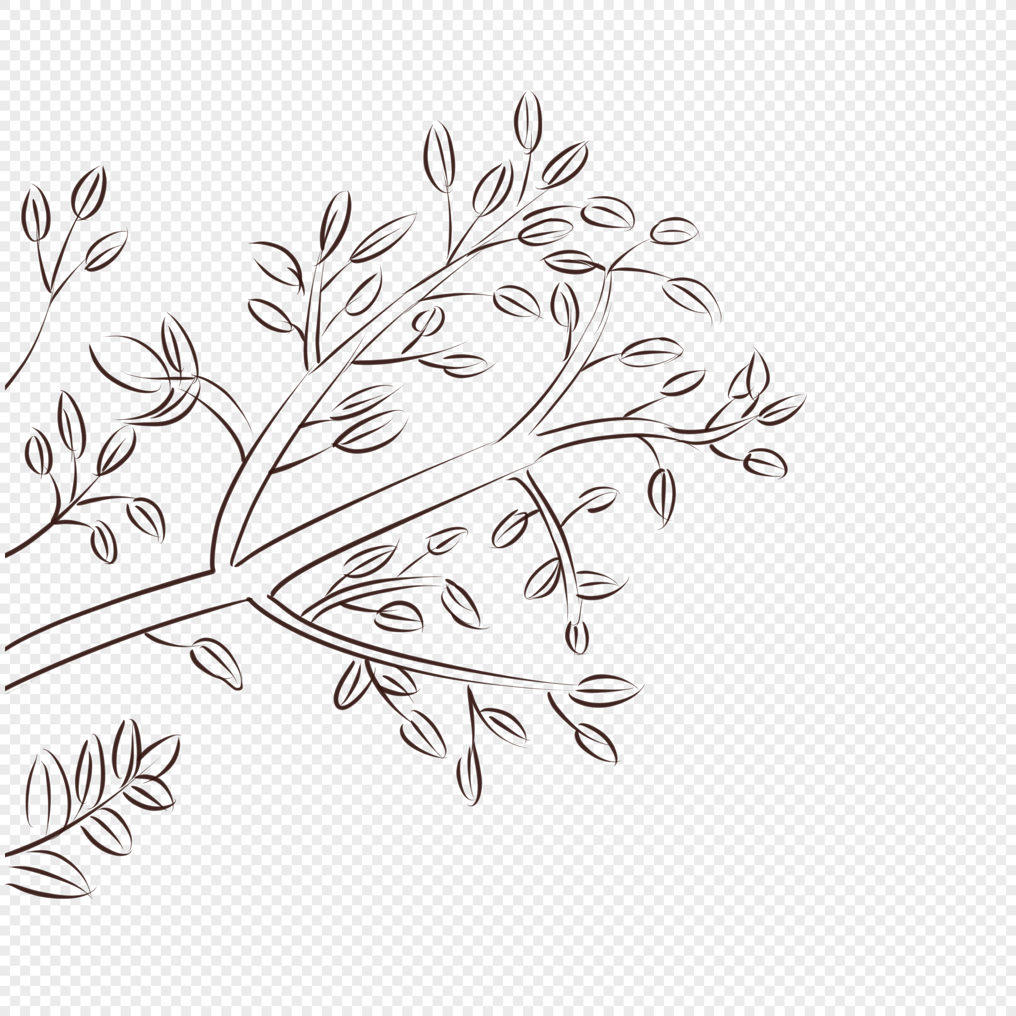 Drawing Coloring book Black and white Leaf Line art, Leaf, branch,  monochrome png | PNGEgg