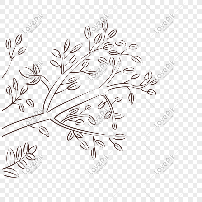 Leaf Line Drawing Png Image Psd File Free Download Lovepik