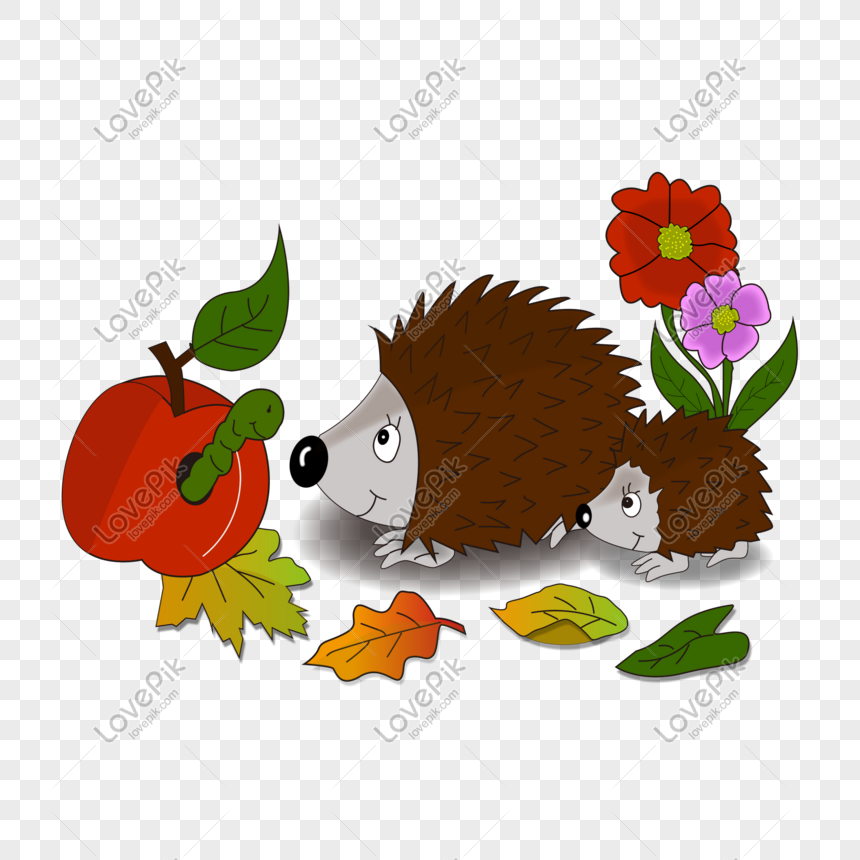 Kanak Kanak Kartun Hedgehog Haiwan Dan Anak Haiwan Gambar Unduh Gratis Imej 401094827 Format Psd My Lovepik Com