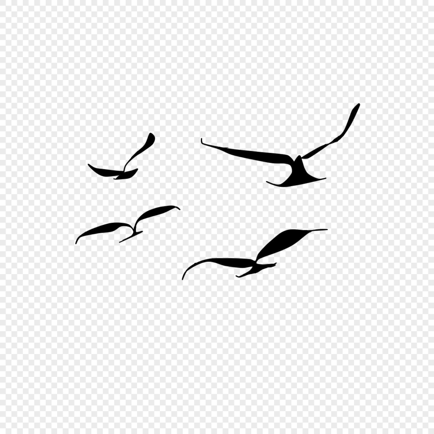 Flying Bird PNG Picture And Clipart Image For Free Download - Lovepik ...