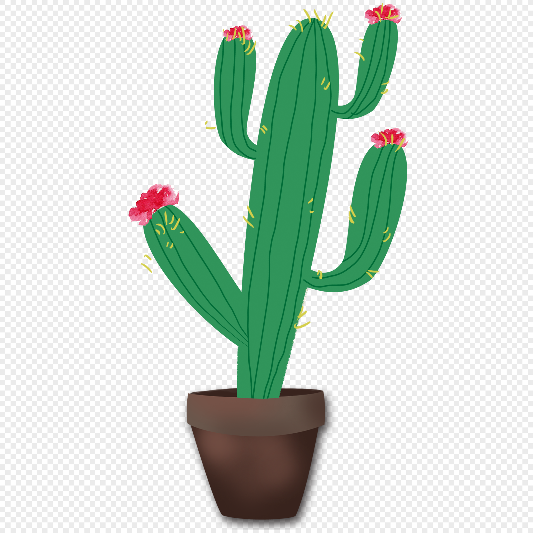 Cacto Fofo Para Casal De Namorados PNG , Cacto, Cute Cactus