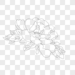 Featured image of post Line Art Flowers Transparent Background - Download and use 10,000+ flower background stock photos for free.