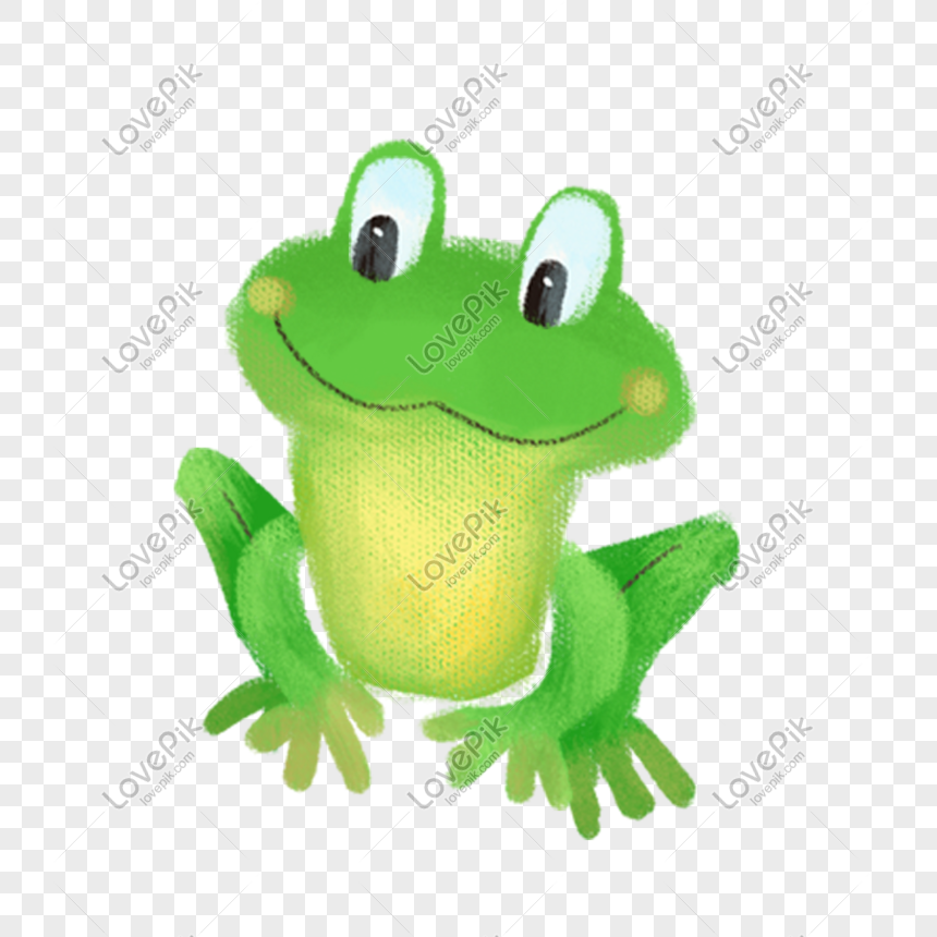 Frog, small frog, frog picture, rana png free download