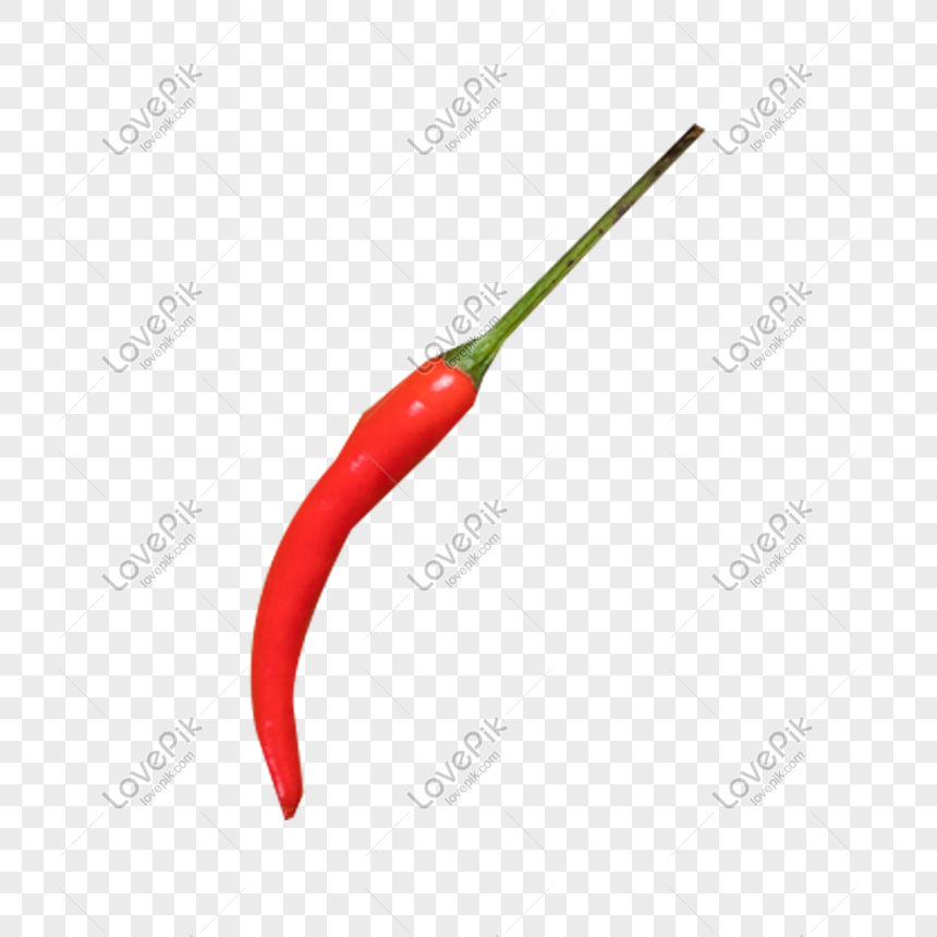 red chilli png image picture free download 401102681 lovepik com red chilli png image picture free