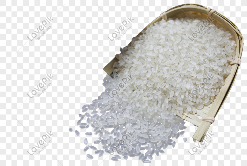 rice grain png image picture free download 401115004 lovepik com rice grain png image picture free