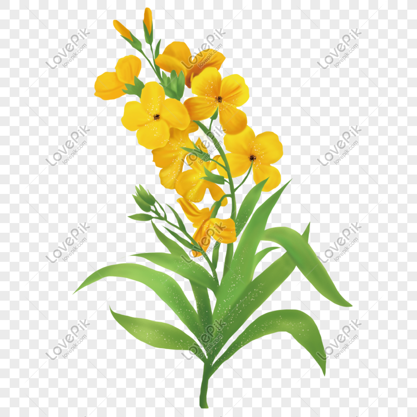 Flor Amarilla PNG Imágenes Gratis - Lovepik