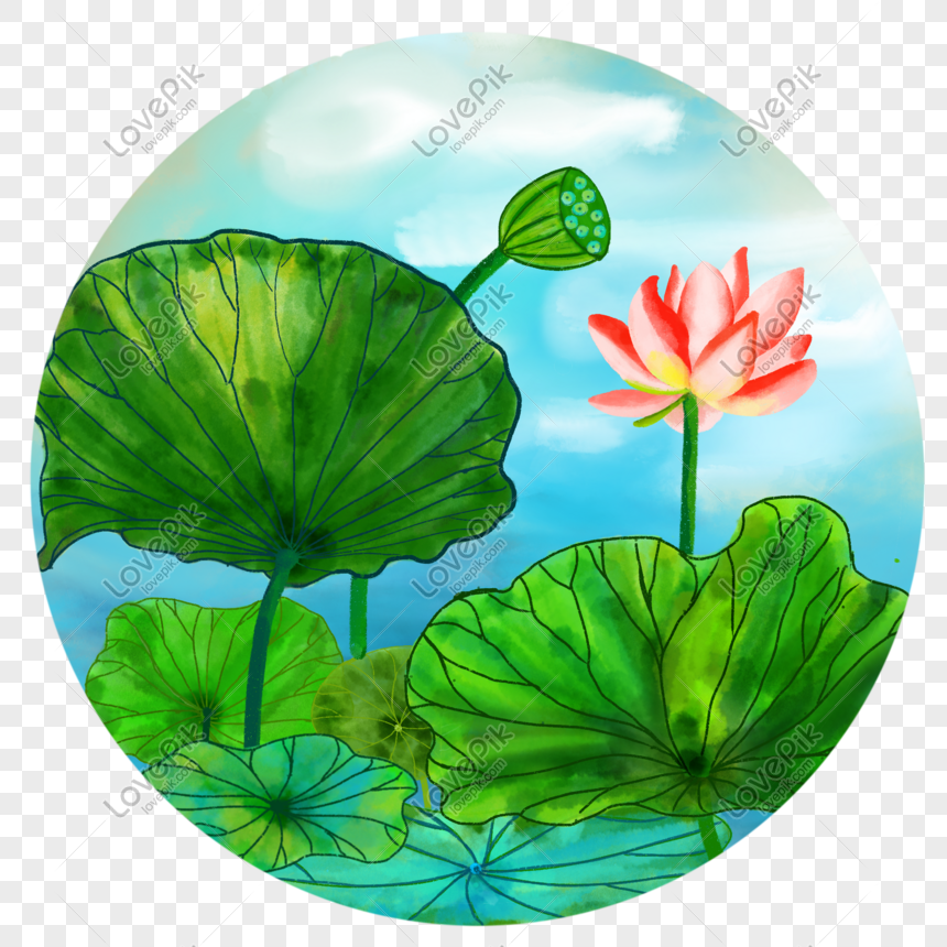 Wild water plant lotus and leaf isolated sketch Vector Image