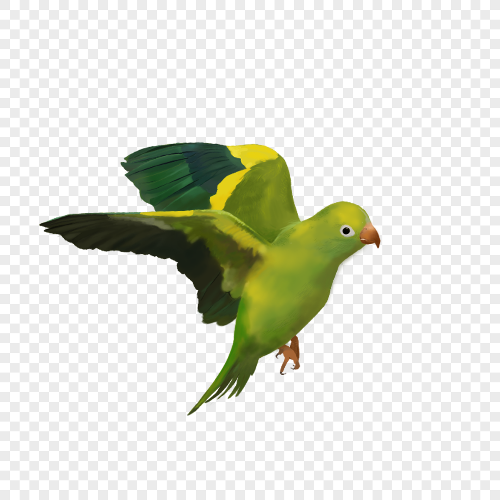 Flying Bird, Green Bird, Flying, Hand-painted Birds PNG Hd Transparent ...