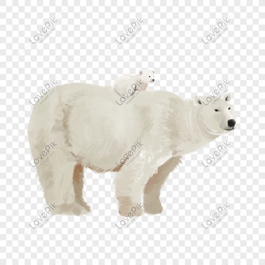 Gấu Bắc Cực PNG: Hãy xem hình ảnh Gấu Bắc Cực PNG để trải nghiệm cảm giác tuyệt vời của sự hiện diện. Hình ảnh này đẹp mắt và phong cách, và sẽ phù hợp với mọi kiểu trang trí. Bạn sẽ không thể cưỡng lại được sự quyến rũ của Gấu Bắc Cực PNG.